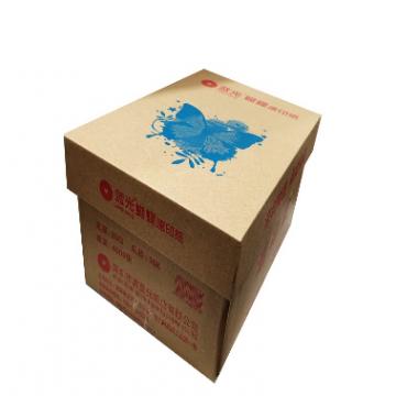 蓝光蝴蝶 速印纸 16K 80G 4000张/箱